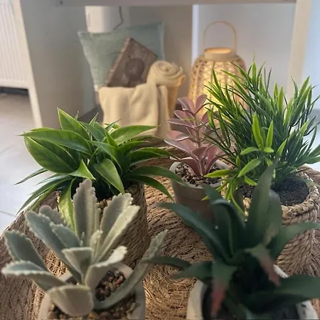 The Project 97 דירה